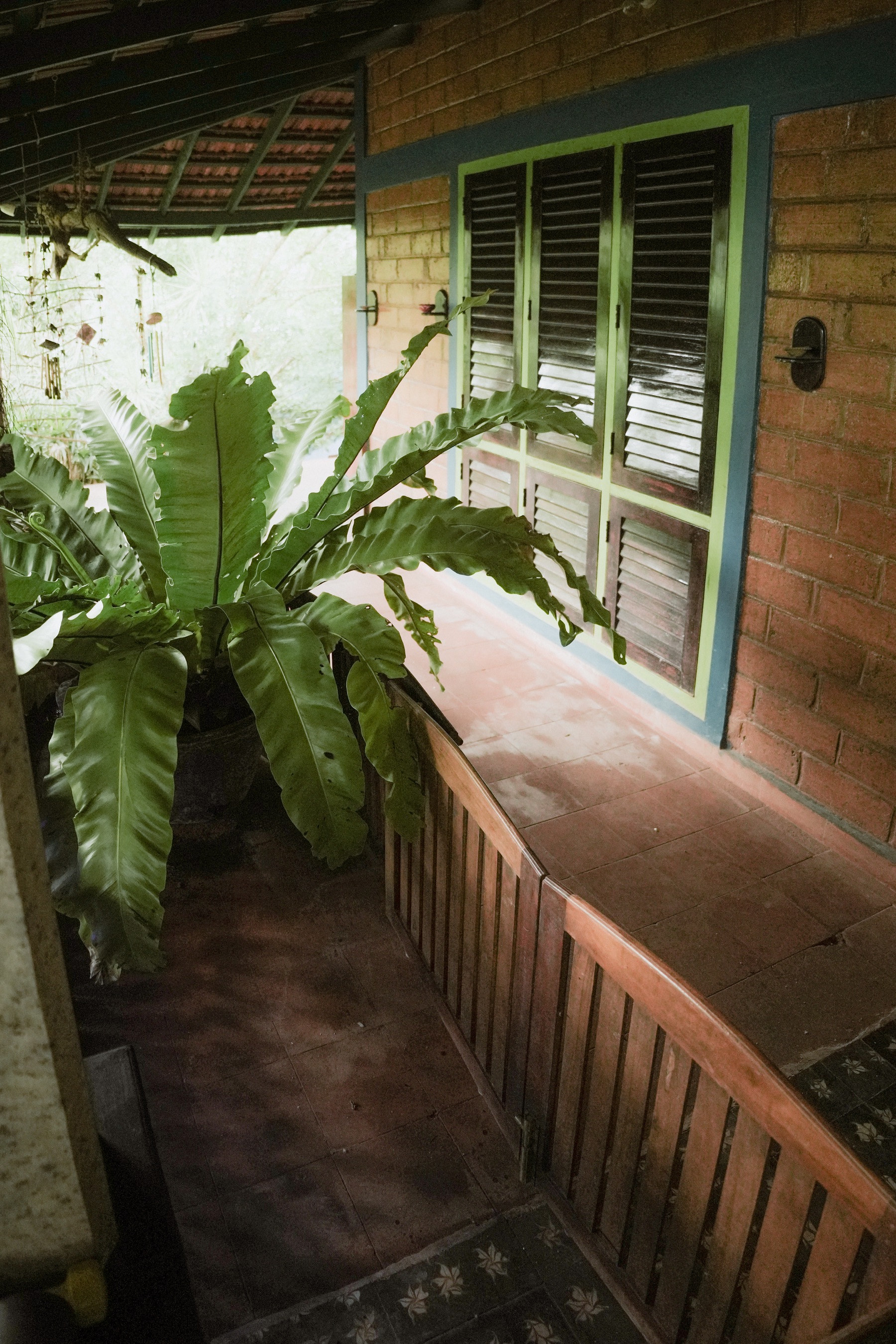 Leafy veranda walkway