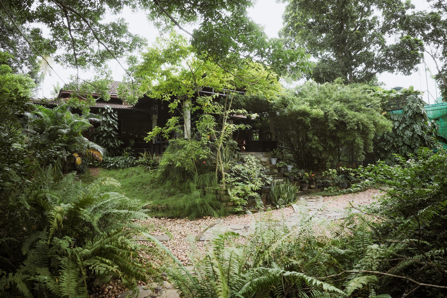 Wide view of the house within the garden