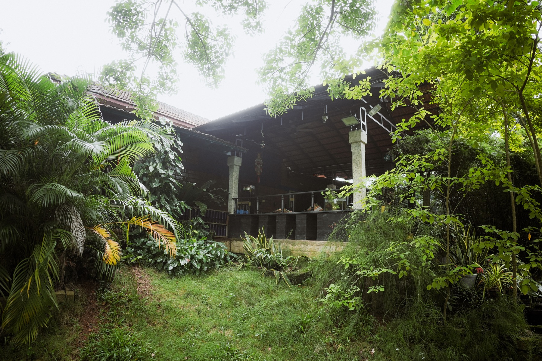 MiliStay exterior surrounded by palms