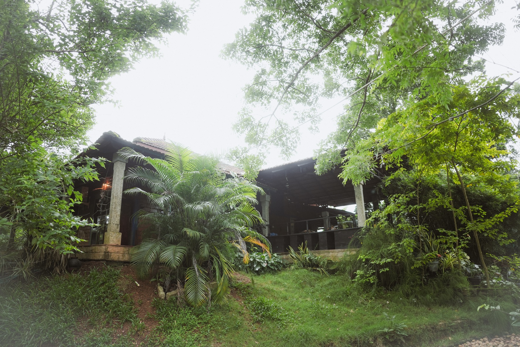 Wide garden and homestay exterior