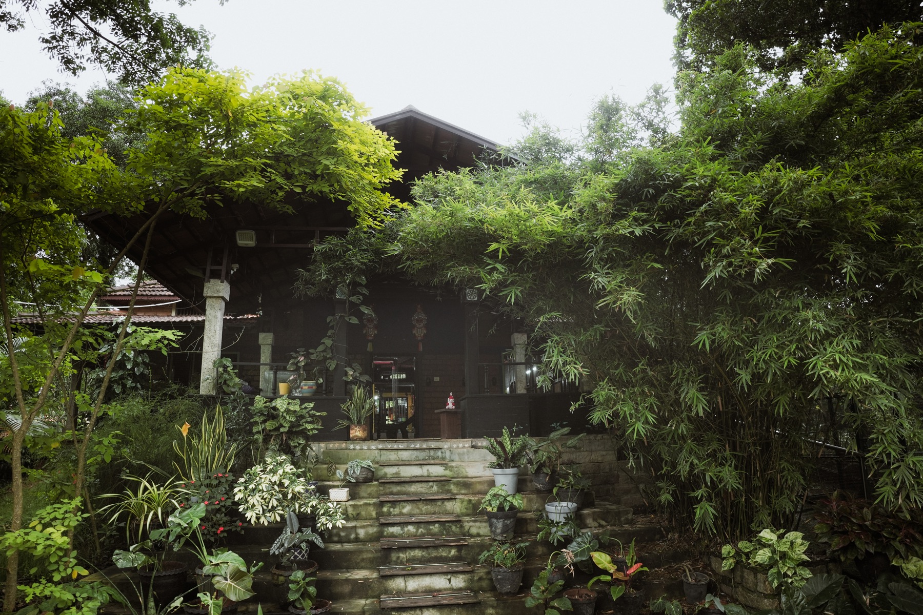 MiliStay's garden-framed entrance