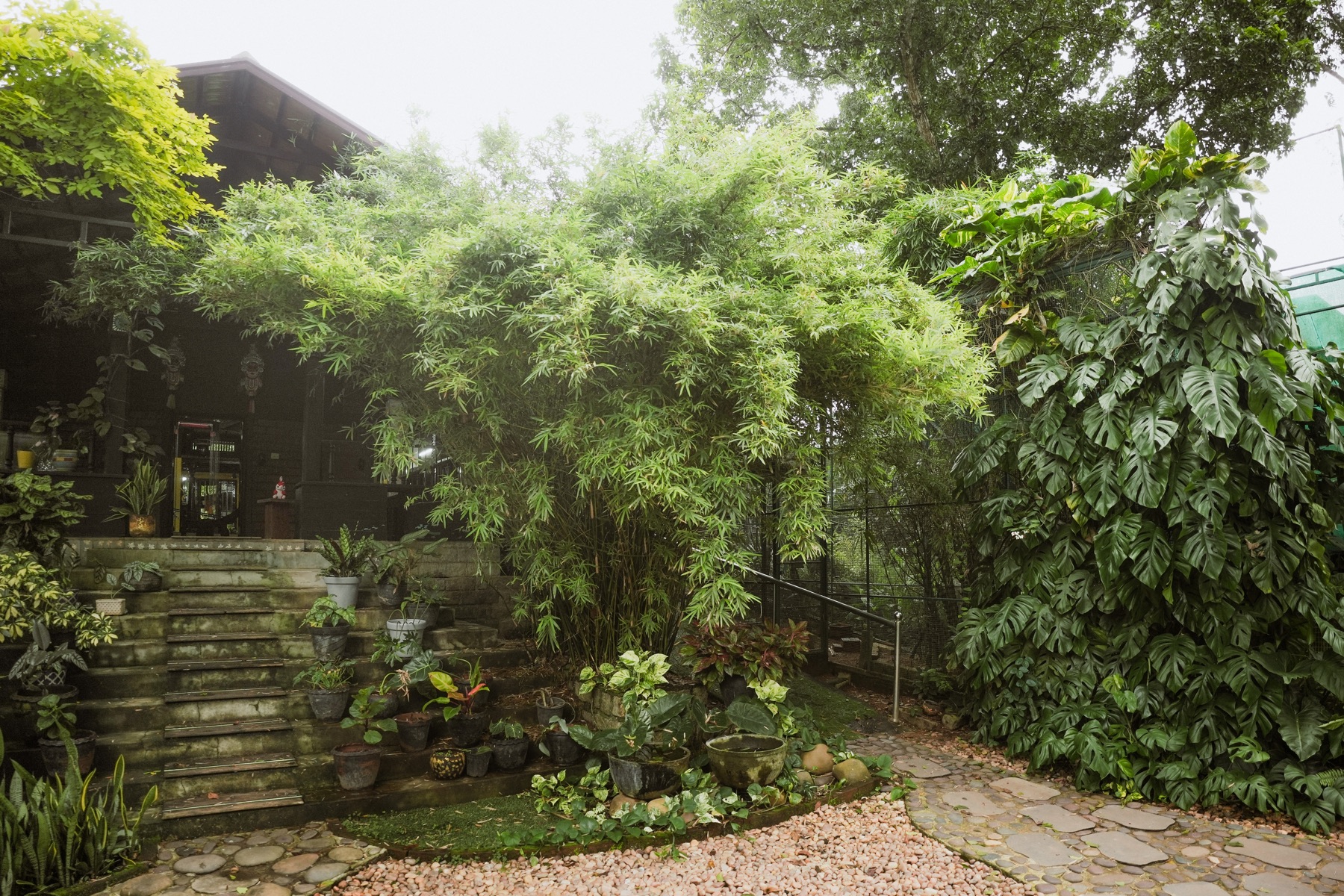 Bamboo arch beside the garden entrance